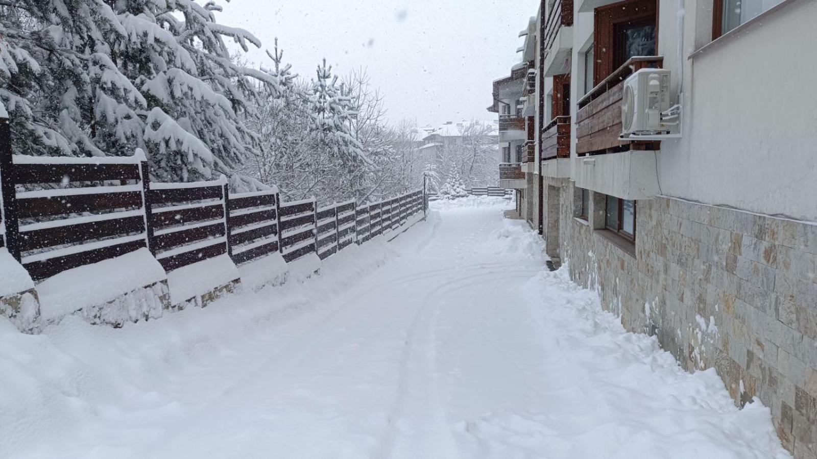 Apartment Detelina Residence Bansko Exterior foto